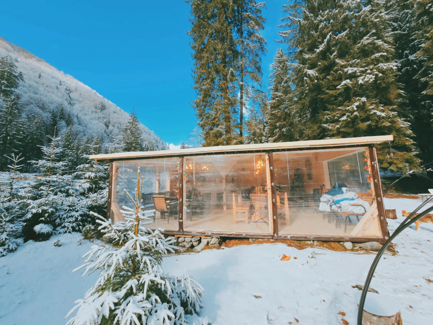 Ce poți face iarna la Camping Voina