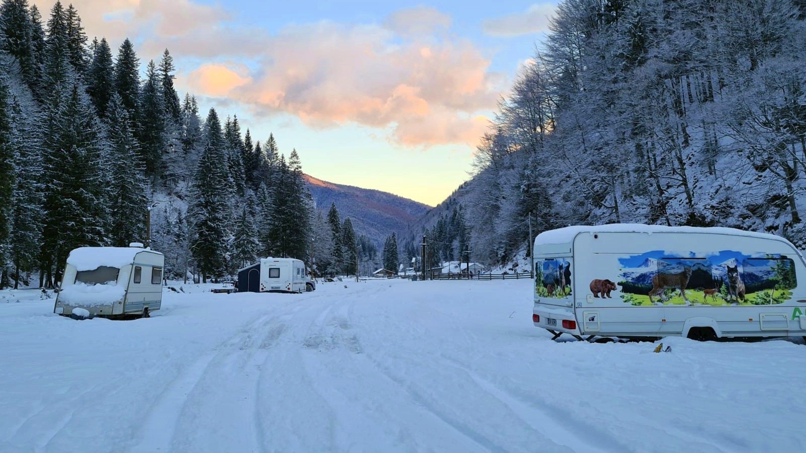 Ghid complet pentru începători: cum să campezi fără stres la Camping Voina